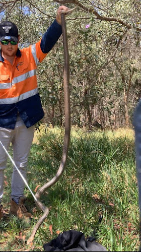 1300 Catch It in The Gap