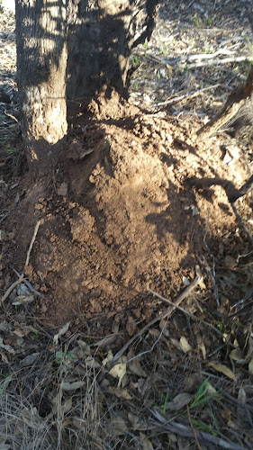 A Hi-Tech Pest Services in West Hoxton