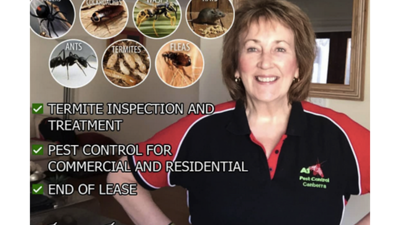 A1 Pest Control Canberra in Phillip