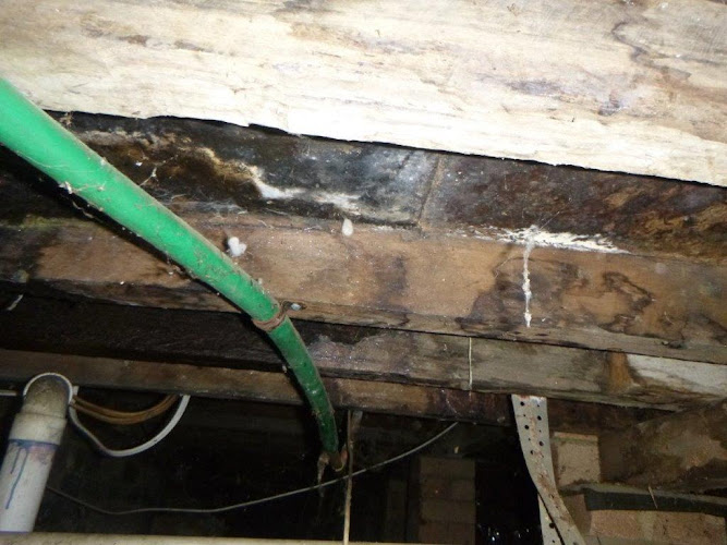 A1 Property Consultancy in Armidale