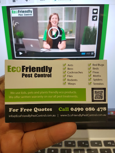 Ace Termite Treatment Kalamunda in Kalamunda