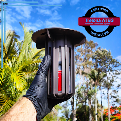 Active Termite Solutions in Springwood