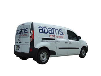 Adams Pest Control in South Melbourne