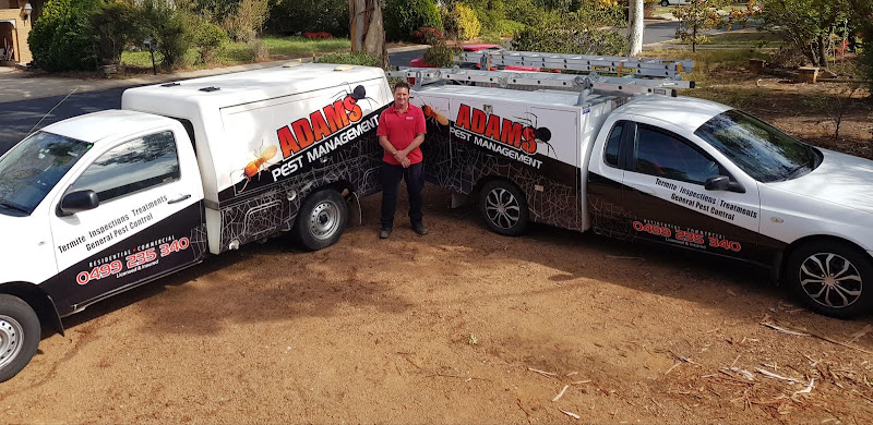 Adams Pest Management in Canberra