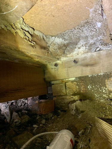 Adapt Pest in Wollongong