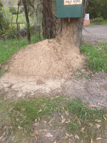 Adelaide Hills Pest Control in Gawler