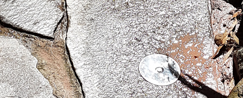 Adelaide Plains Pest Services in Gawler