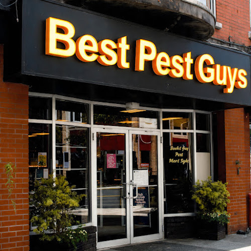 Advanced Pest Control in Wickham