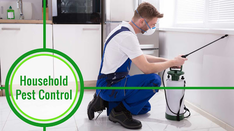 All Four Pest Control in Newcastle