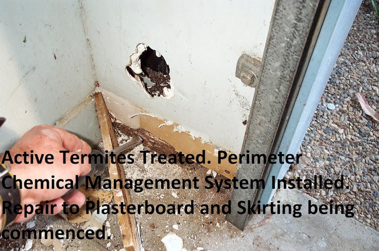 All House Inspections in Buderim