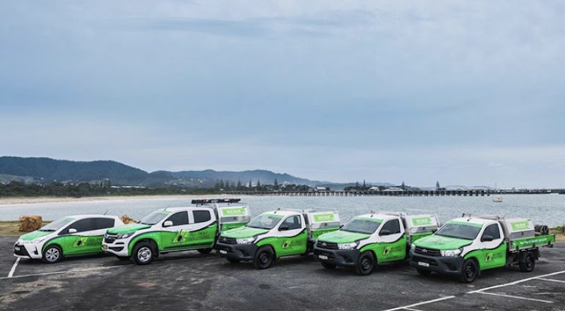 All Pest Solutions Mid North Coast in Coffs Harbour