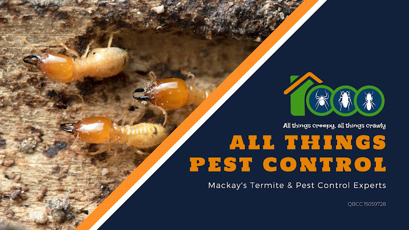 All Things Pest Control in Mackay