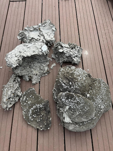 Allaround Pest Control Hobart in Geilston Bay