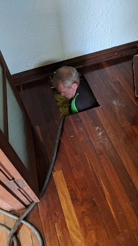 Alpha Termite Treatment Maylands in Maylands