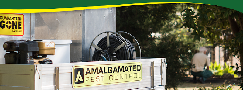 Amalgamated Pest Control Toowoomba Country in Toowoomba City