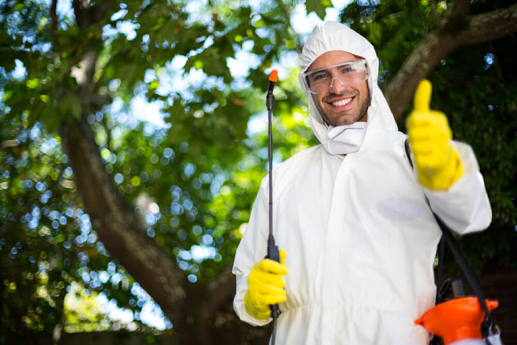 Ants Eco Pest Control Perth in Bunbury
