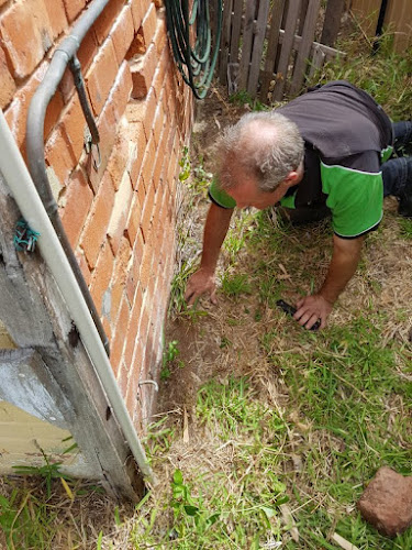 Ark Termite Treatment The Vines in The Vines