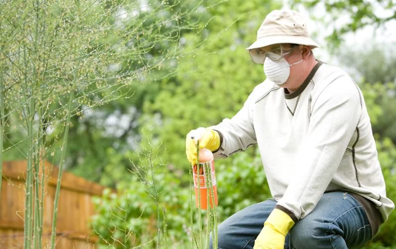 Australian Pest Control Association in Rozelle