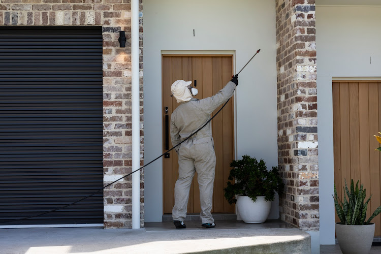 Avalanche Pest Control in Wollongong