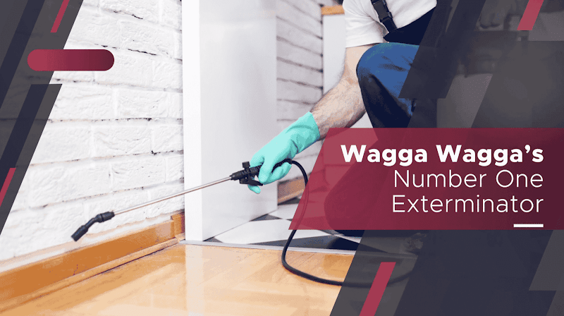 Avante Guard Pest Control in Mount Austin