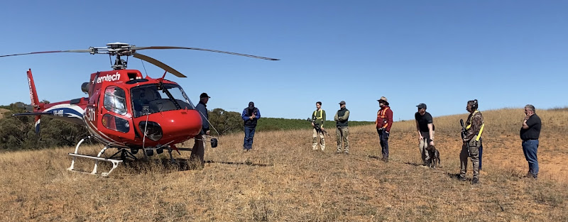AVert Services in Kersbrook