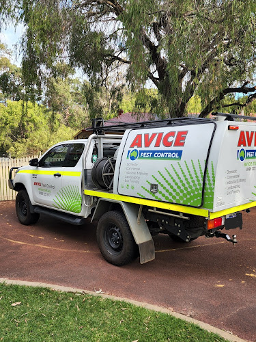 Avice Pest Control in Cairns
