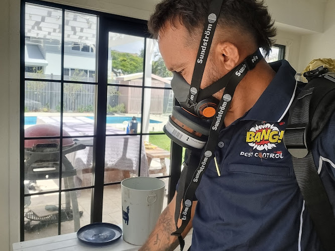 Bang Pest Control - General Pest and Termite Services in Gold Coast in Coombabah