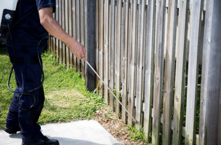 Beach and Bush Pest Control in Nelligen