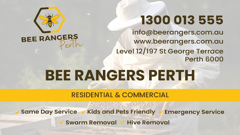 Bee Rangers Perth in Perth