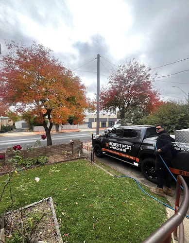 Benefit Pest Management in Newcastle