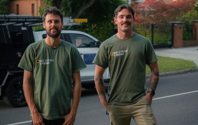 Best at Pests & Possums in Balwyn