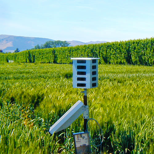 Bird Gard Australia in Sunshine Coast