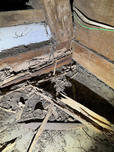 Black Label Pest Management - Pest Control Newcastle in Hamilton