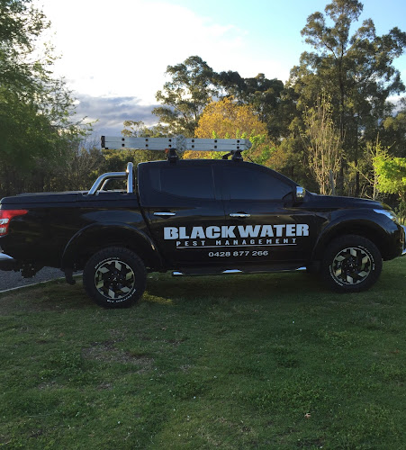 Blackwater Pest Management in North Richmond