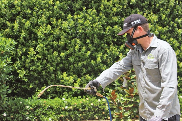 Blast Pest Control in Thornlands