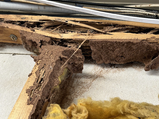 Bright Pest Control Pty Ltd in Clearview