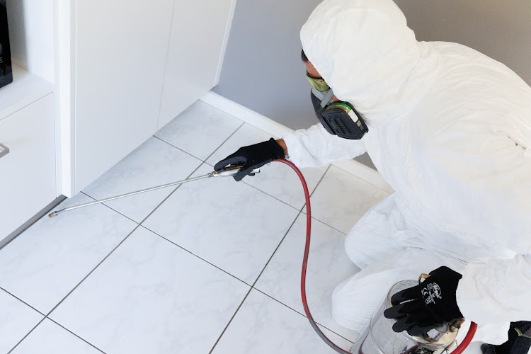 Brighton Pest Control in Hobart