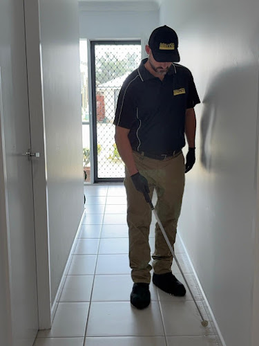 Brisbane Termite & Pest Control in East Brisbane