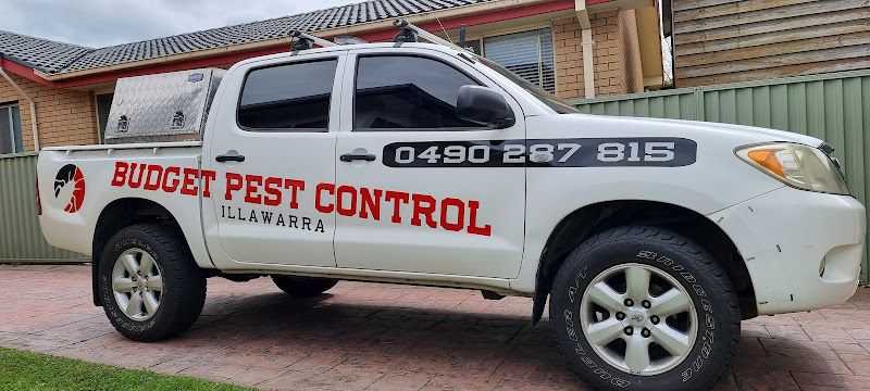 Budget Pest Control Illawarra Albion Park Rail in Albion Park Rail