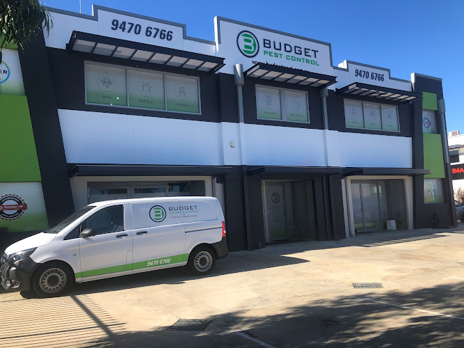 Budget Pest Control in Kenwick