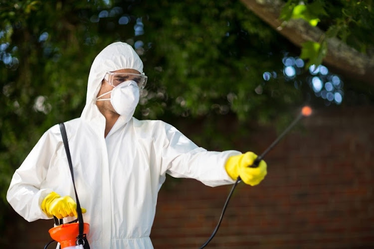 BugBusters pest control in Lismore