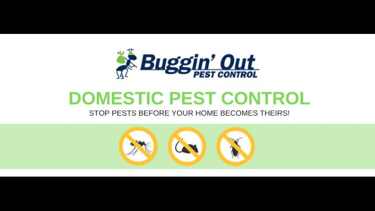 Buggin'Out Pest & Vermin Control in Narre Warren