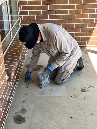 Bugs Away Qld Pest Control in Narangba