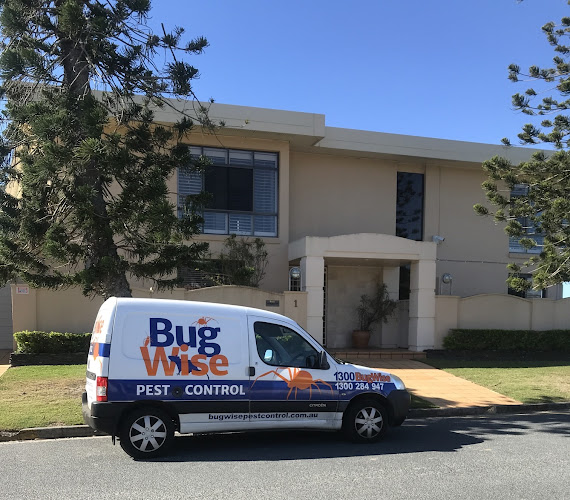 BugWise Pest Control Gold Coast in Gold Coast
