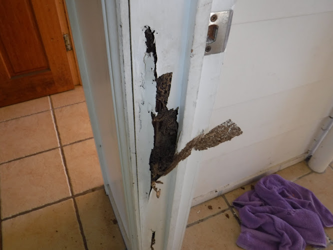 Building And Pest Inspections Gladstone in South Gladstone