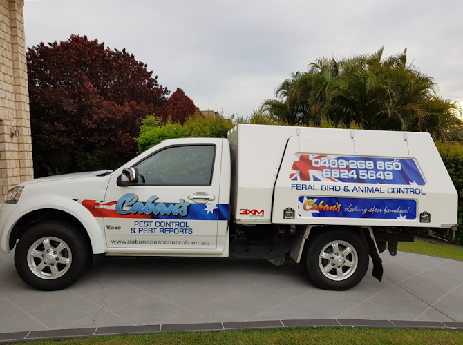 Caban's Pest Control in Lismore