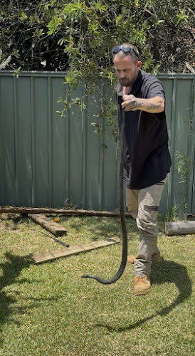 Campbelltown Snake Catcher in Leumeah