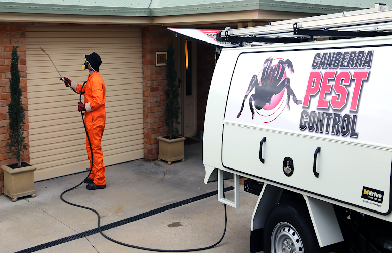 Canberra Pest Control in Mitchell