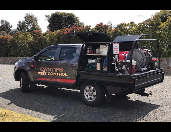 Cantips Pest Control Albury in Albury