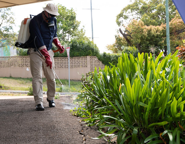 CDI Pest Management in Ashgrove